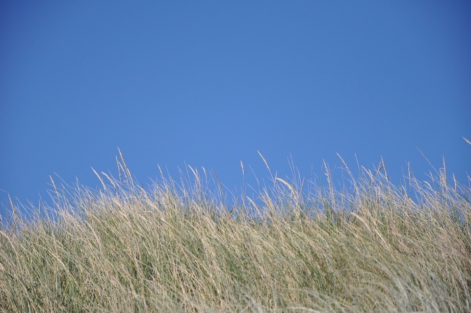 Neuseeland - Wanganui - 
