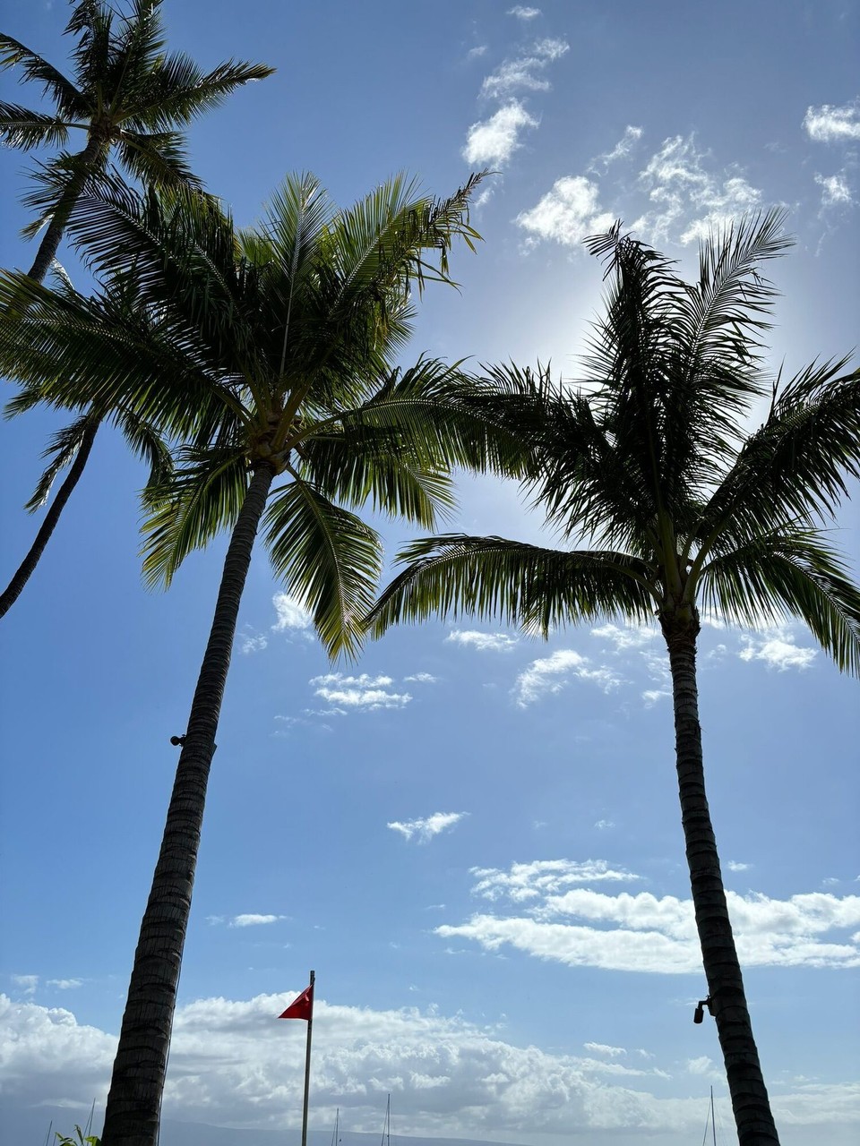 Vereinigte Staaten - Kaanapali - 