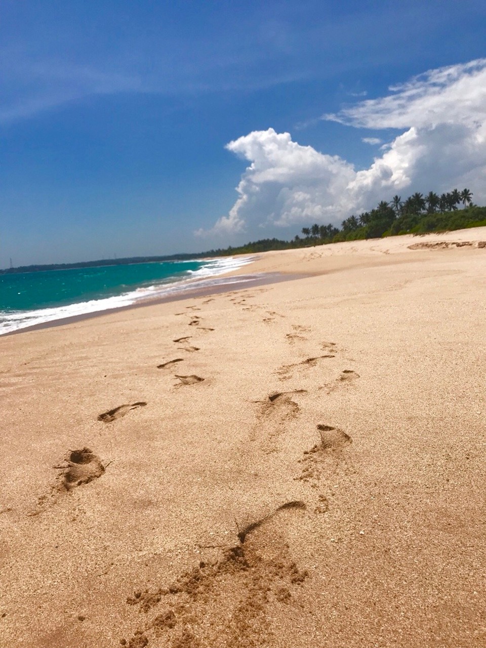 Sri Lanka -  - 