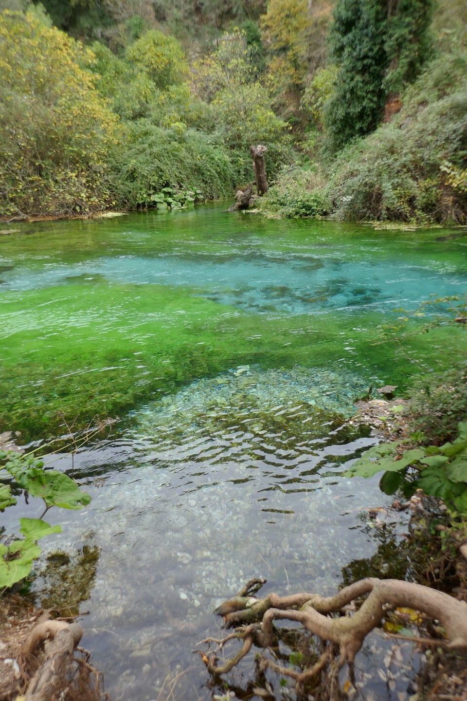 Albanien - Syri i Kaltër - 