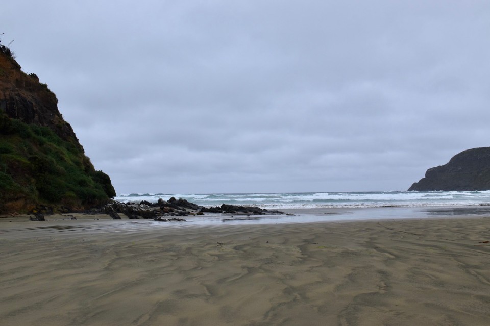 Neuseeland - Owaka - An der Cannibal Bay halten wir nach weiteren Tieren Ausschau.