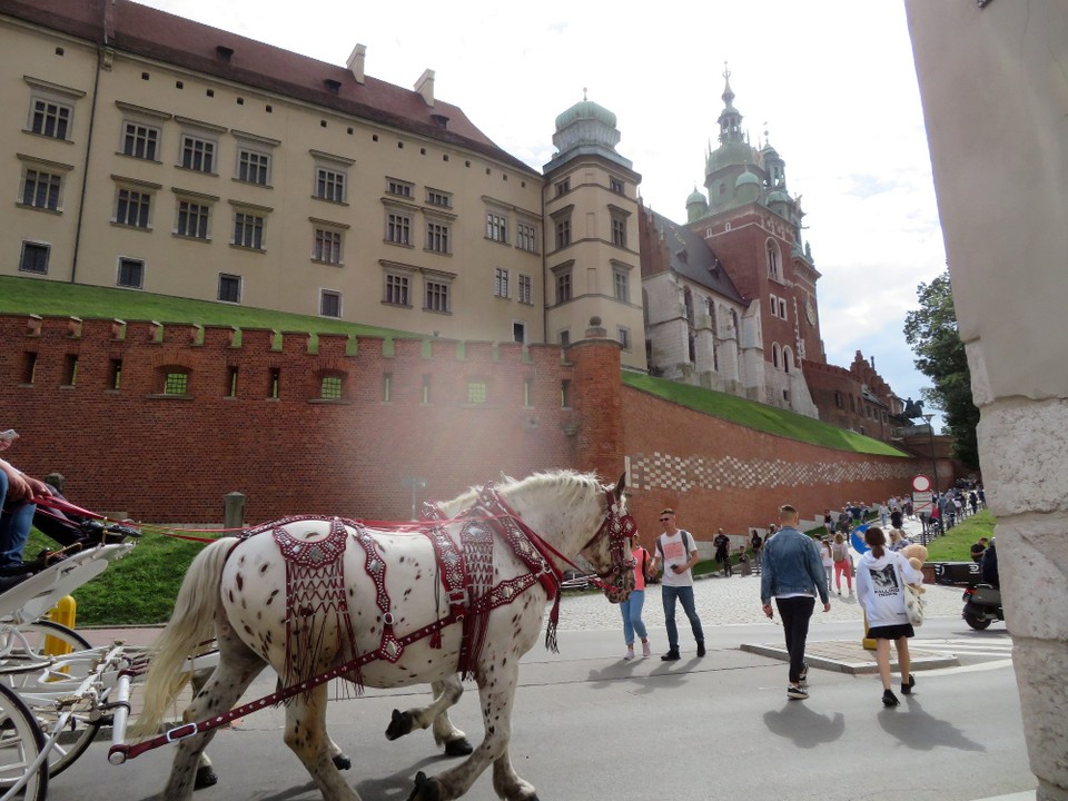 Polen - Krakau - 