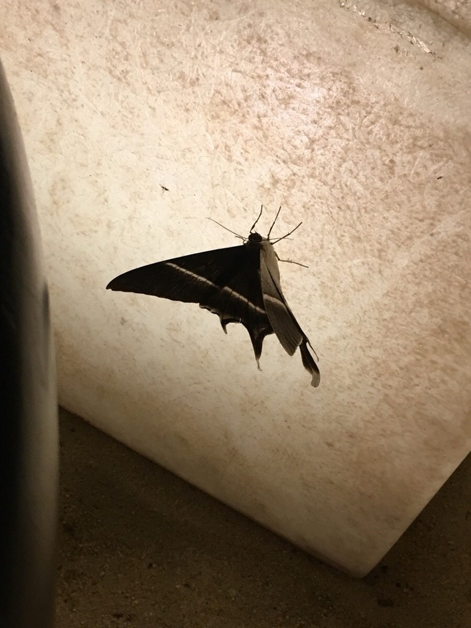 Thailand - Amphoe Ko Pha-ngan - Gast am Abend