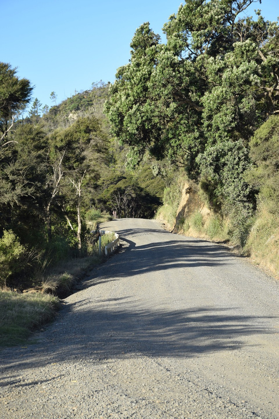 Neuseeland - Whitianga - Eine "gravel road"...