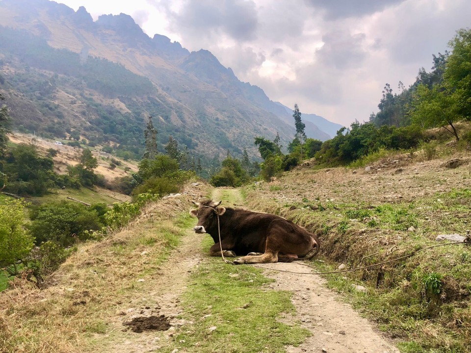 Peru -  - 