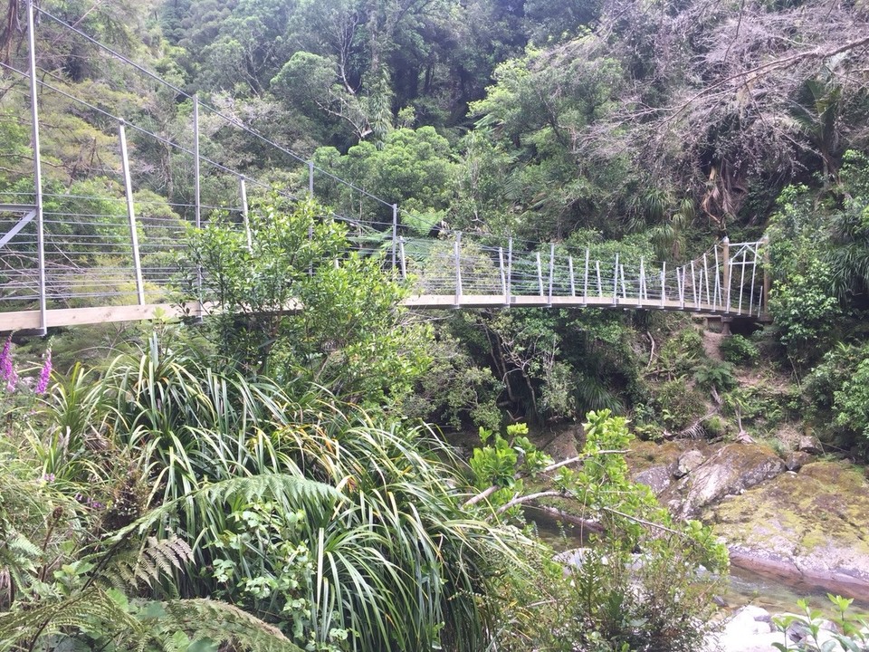 Neuseeland -  - 