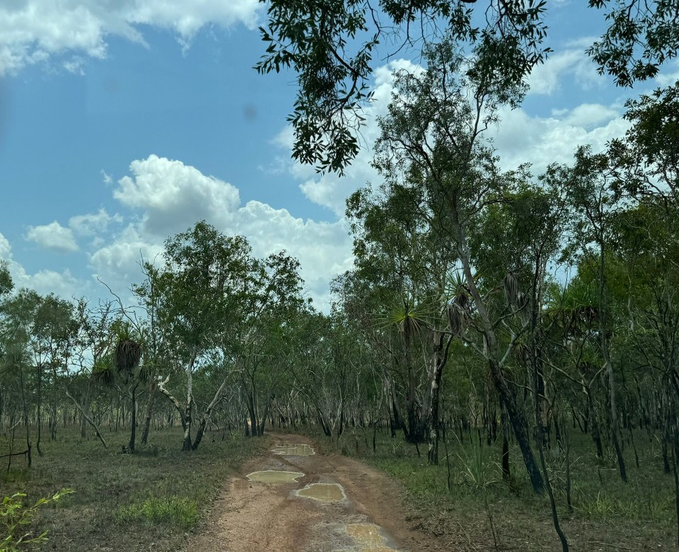Australien - Kakadu - 