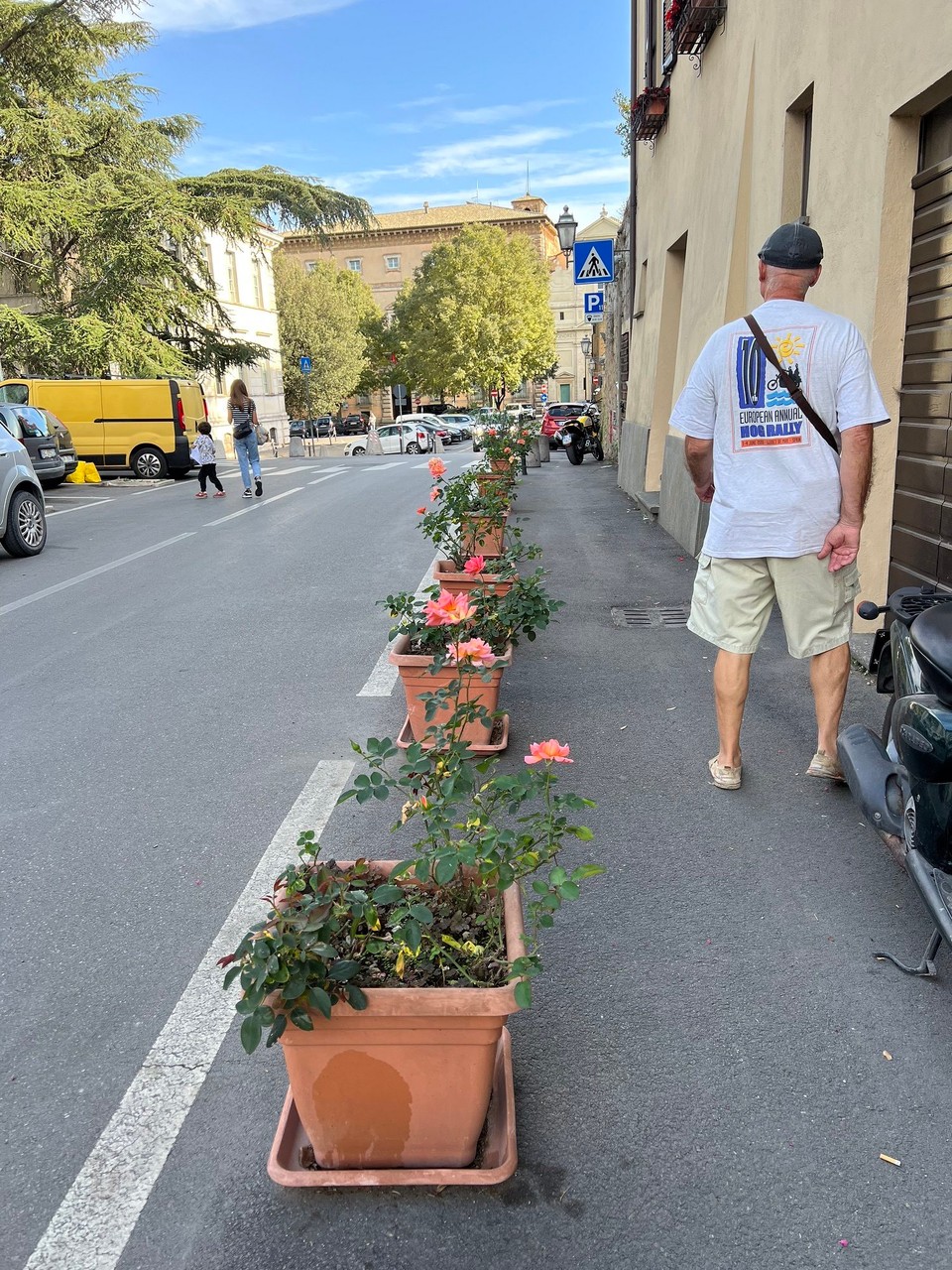 Italien - Orvieto - 🥰Rosen🌹🌹🌹
