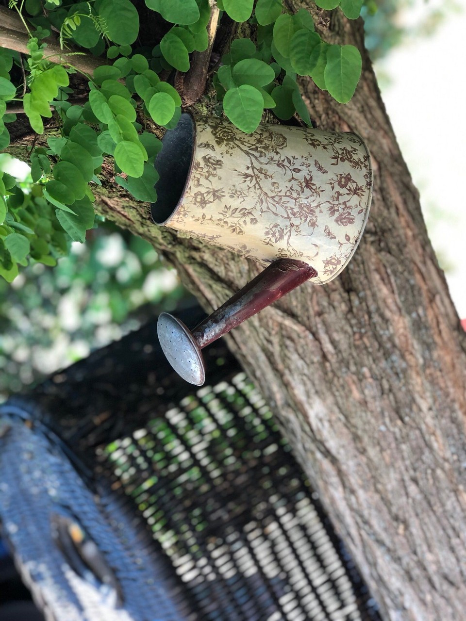 Deutschland - Bad Saarow - 