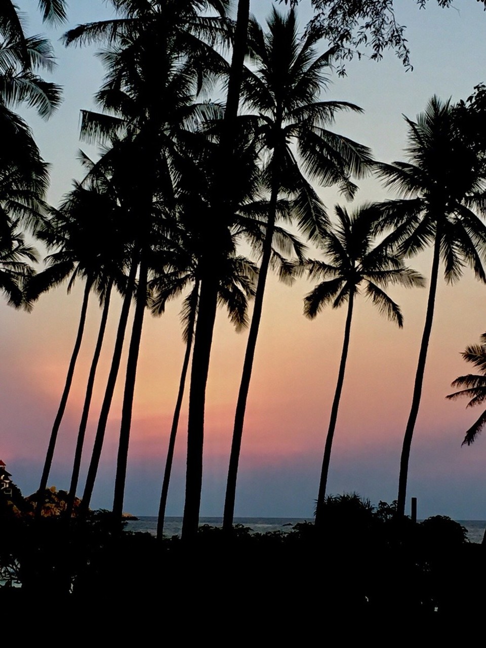 Thailand - Ko Tao - 