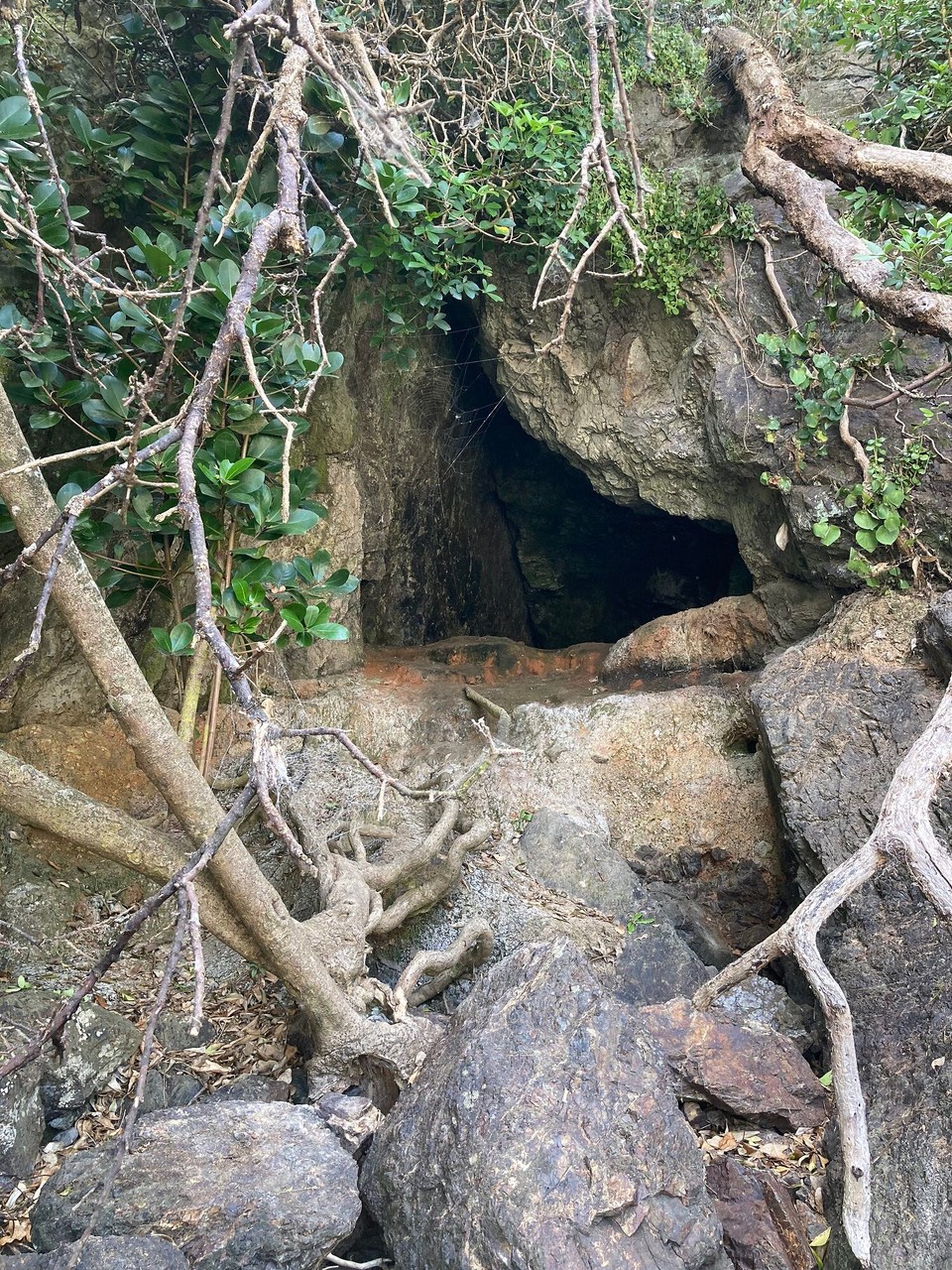 Neuseeland - Hikurangi - 