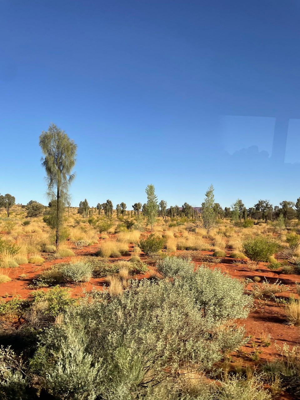 Australien - Yulara - 