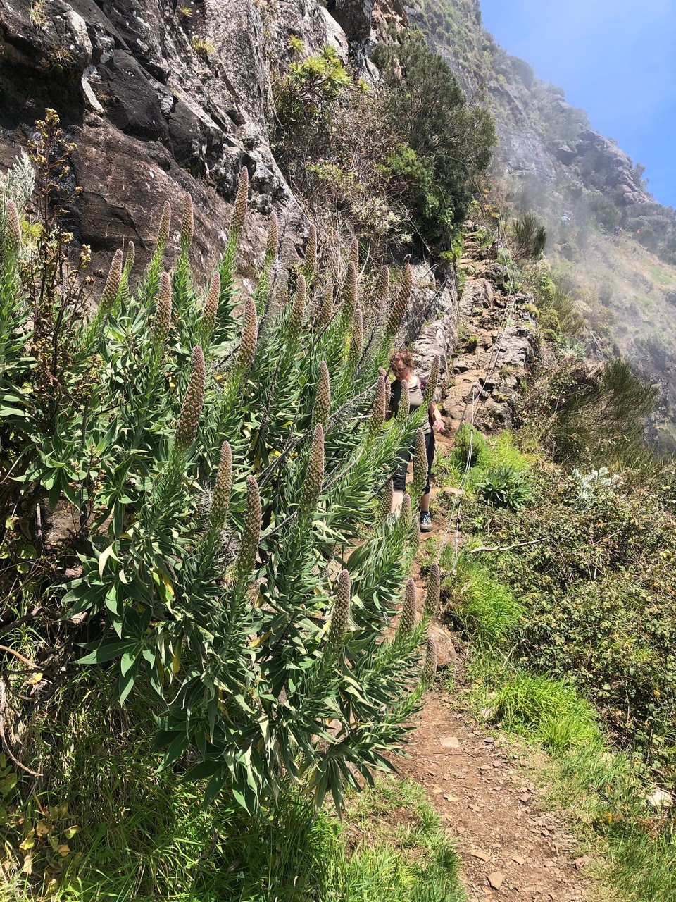 Portugal - Câmara De Lobos - 