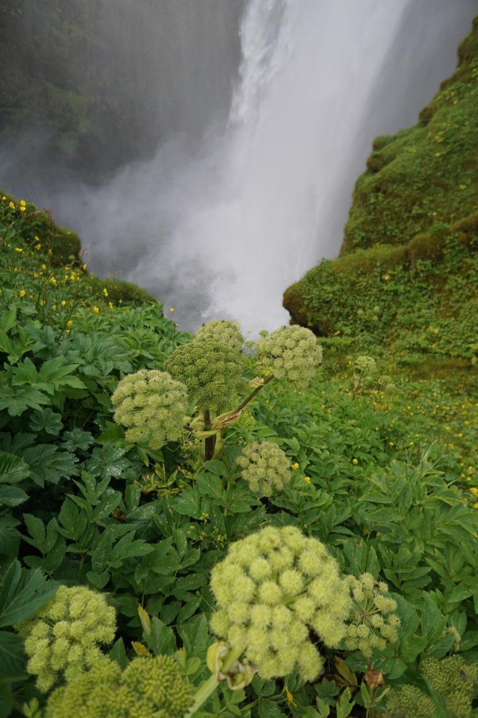 Island - Hella - 