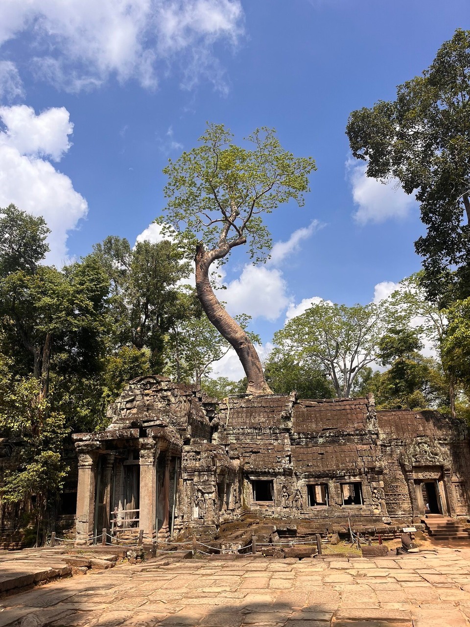 Cambodia - Siem Reap - This is the temple where tomb raider was filmed 