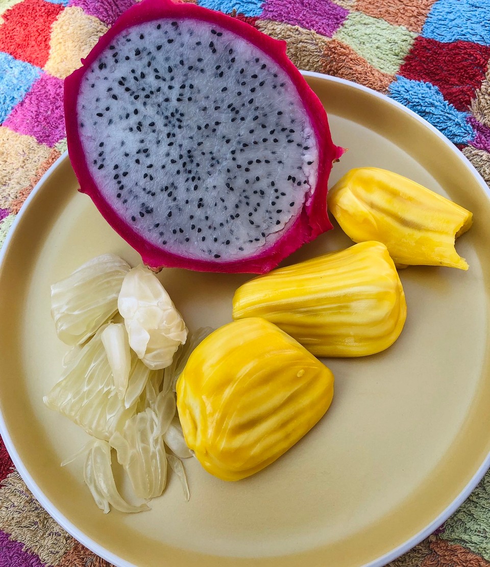 Thailand - Mueang Chiang Mai - Mein erster Obststeller 🍈
Drachenfrucht, Pomelo und Jackfruit. Die Jackfruit ist sehr bissfest, schmeckt aber sehr fruchtig nach einer Mischung aus Banane und Mango. Sie kann bis zu 30 kg wiegen.Hier sieht man lediglich 3 Stücke der riesigen Frucht. 