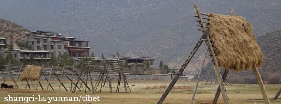 China - shangri-la - 