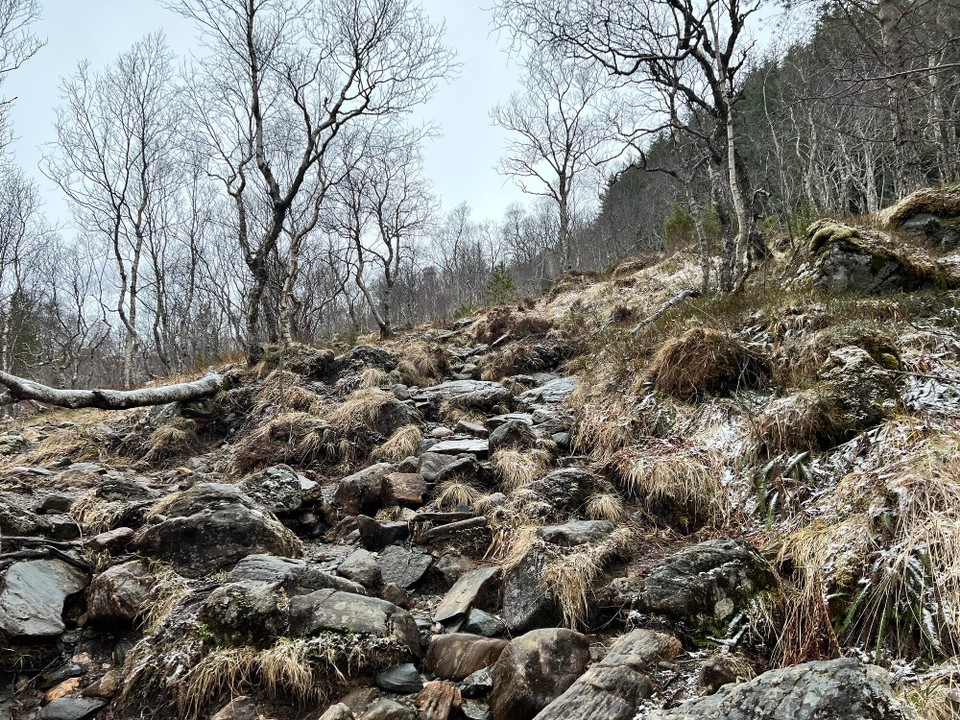 Norwegen - Elnesvågen - 