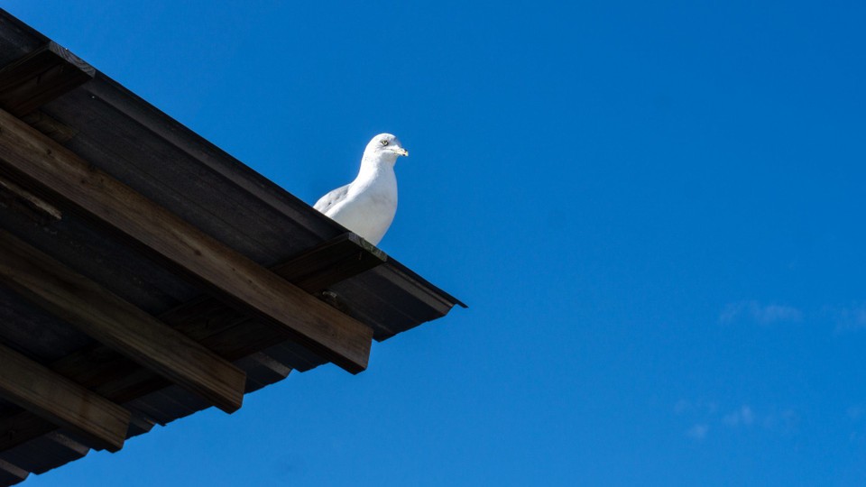 USA - Daytona Beach - 