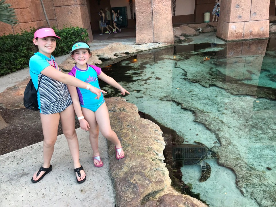 Bahamas - Nassau - 