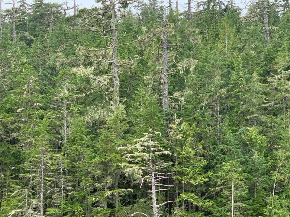 Kanada - Mount Waddington D - 