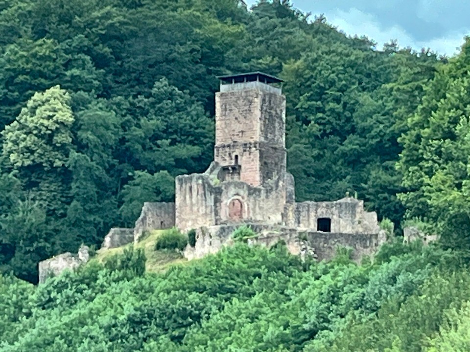 Frankreich - Colmar -  Burg Ruine Neckarsteinsch