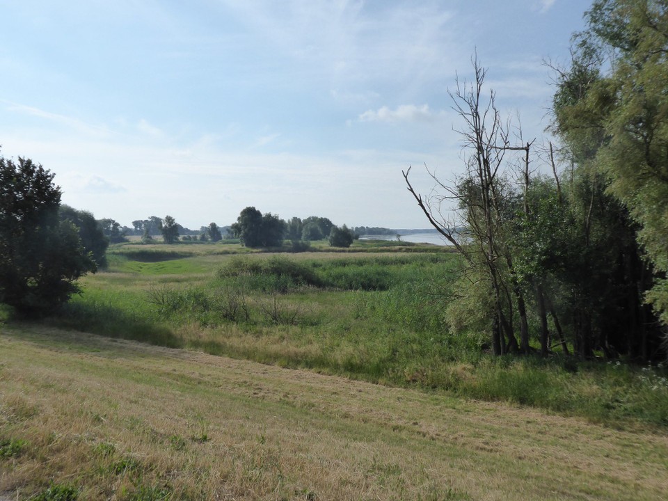 Deutschland - Havelberg - Solche Fotos habe ich jetzt zuhauf. Es ist einfach nur beglückend. Diese Weite, dieser Fluss, diese Natur. 