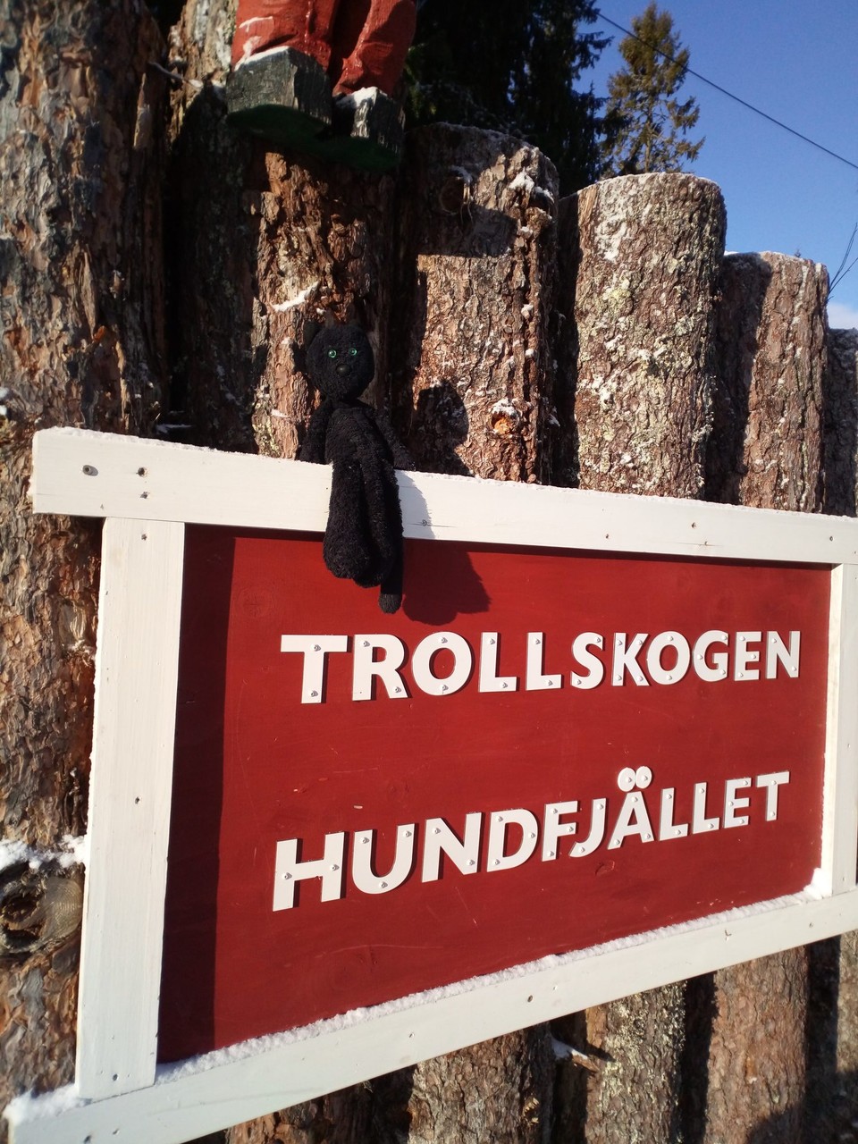 Sweden - unbekannt - OK for cats?