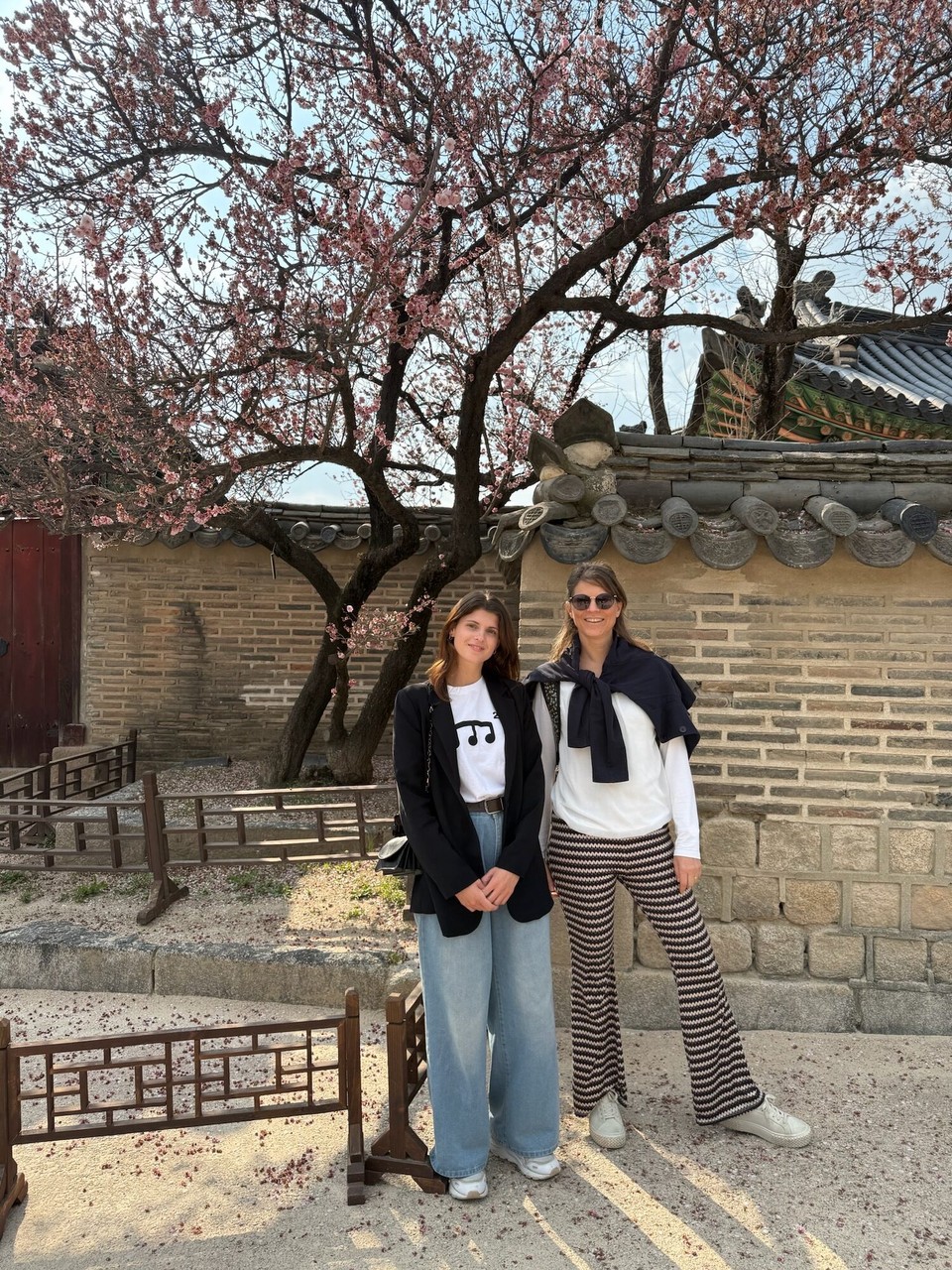 대한민국 - 서울특별시 - 