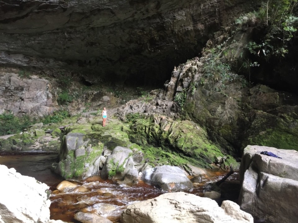 Neuseeland - Oparara River - 