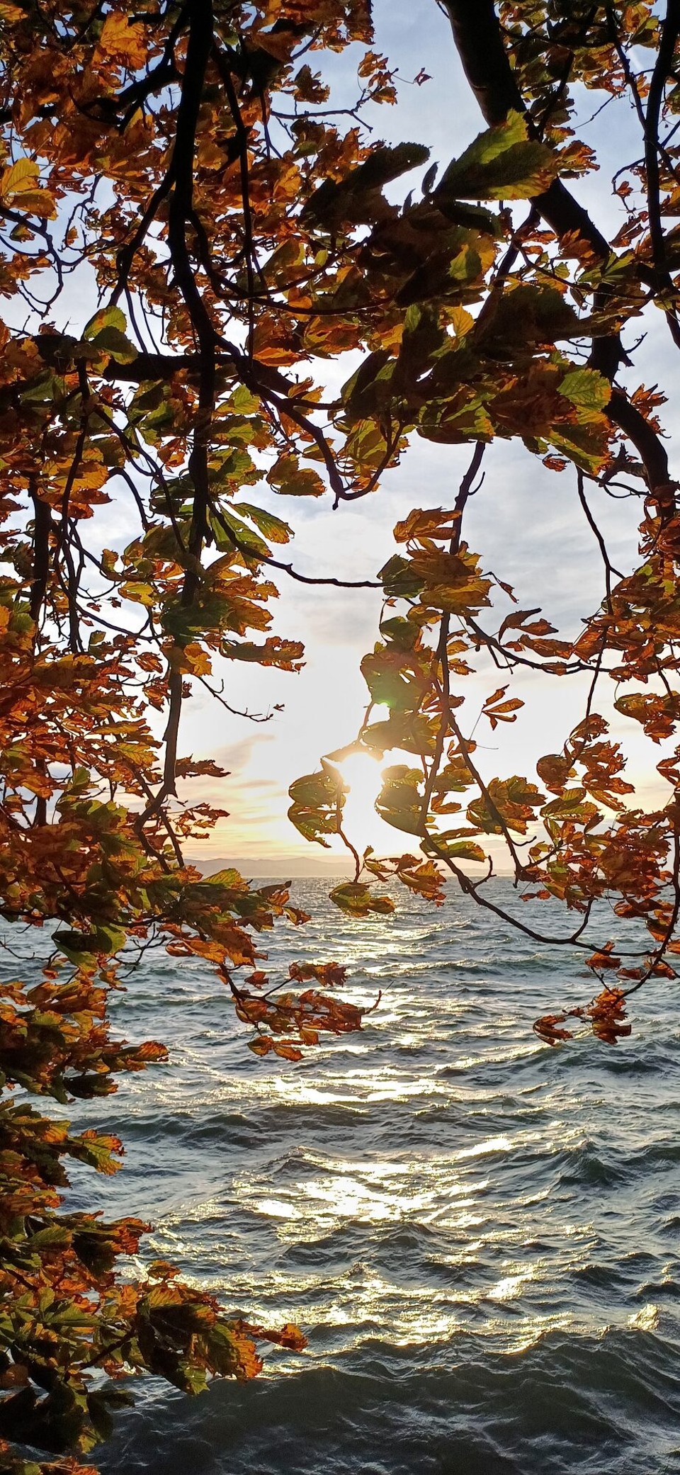 Deutschland - Lindau (Bodensee) - 