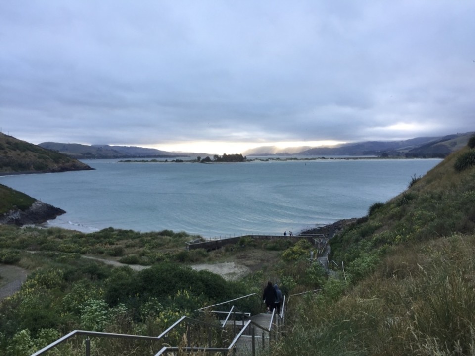 Neuseeland - Dunedin - 