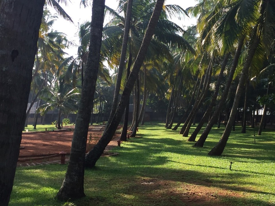 Indien - Guruvayoor-Manattala-Perakam-Edakkazhiyur - 