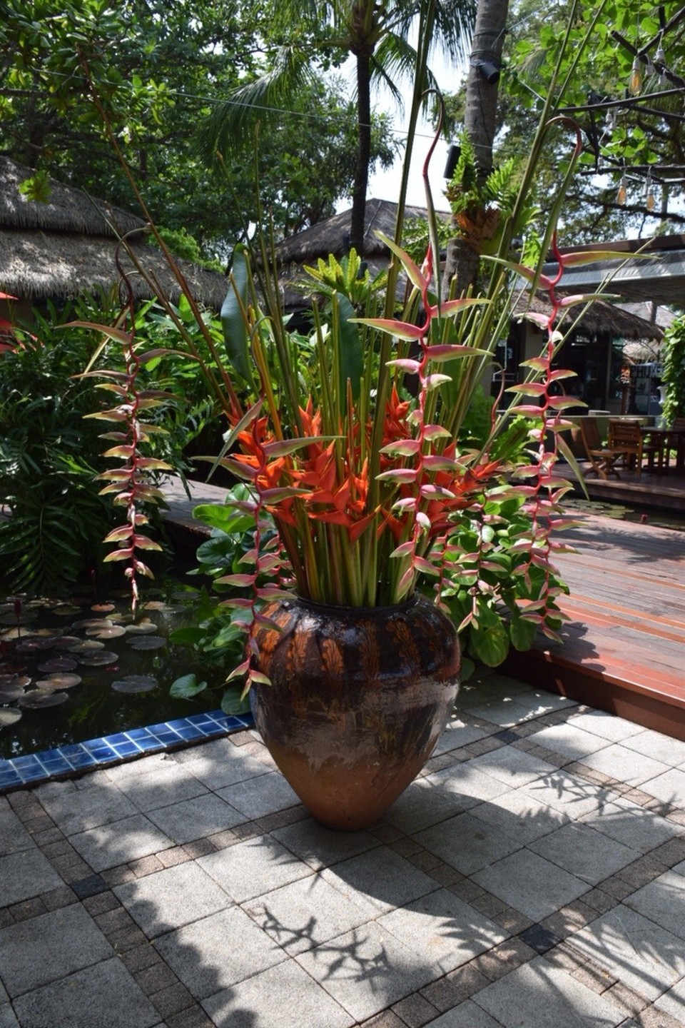 Thailand - Amphoe Mueang Phuket - Ein paar Blumen für Euch, es soll ja endlich Frühling werden.