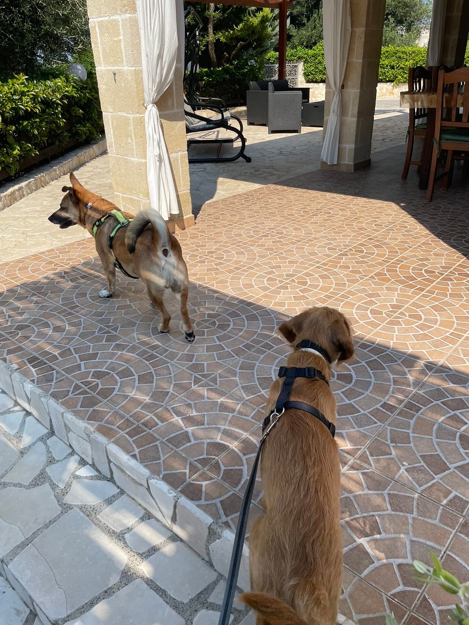 Italien - Carovigno - 
