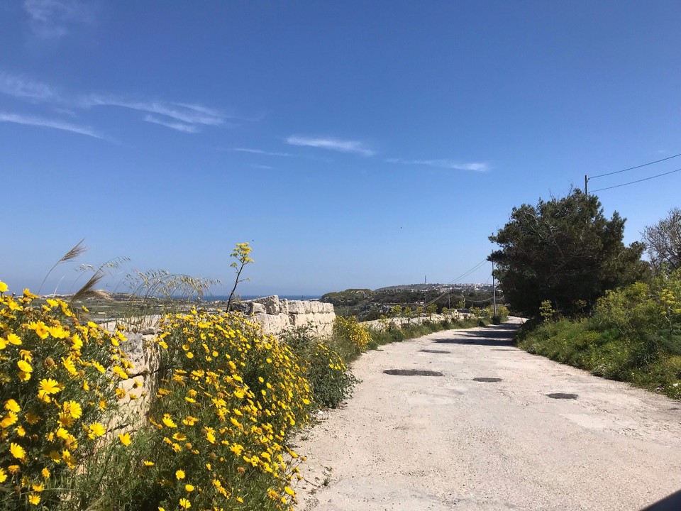 Malta - Dingli - 