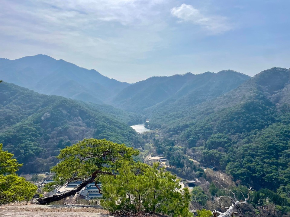 대한민국 -  - 