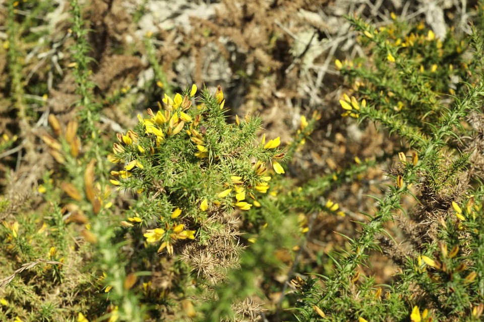 Portugal - Aljezur - 