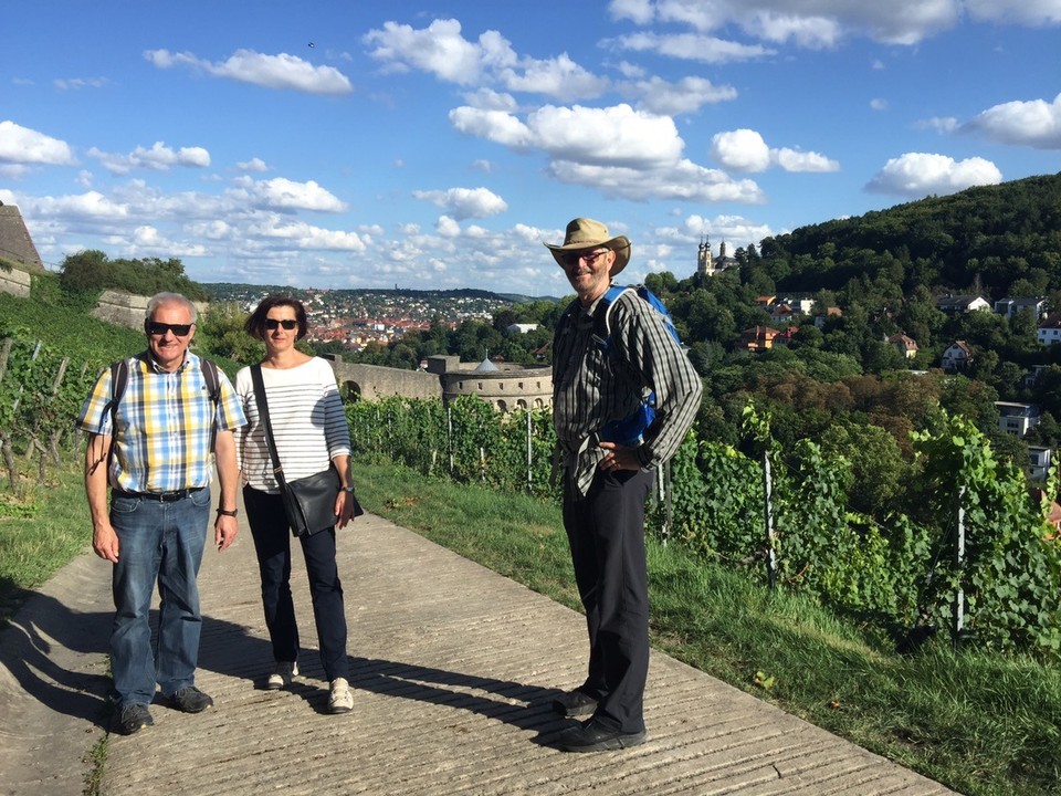  - Germany, Würzburg - Walking through vineyards back to the River Main Bridge. 