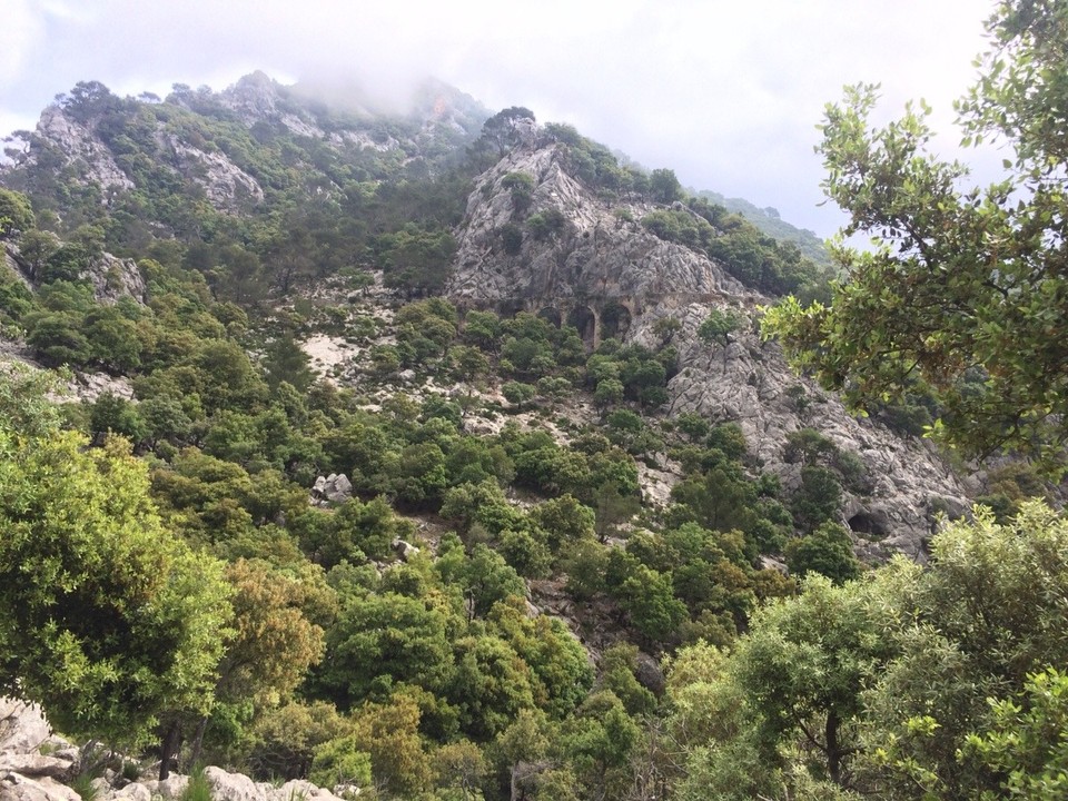 Spanien - Escorca - 