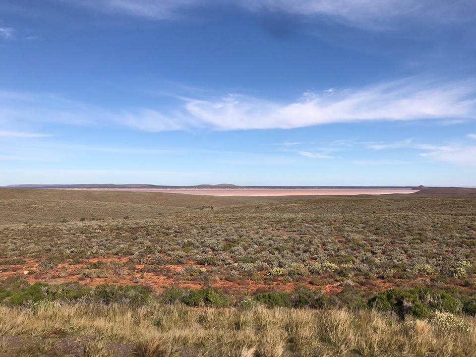 Australia - Woomera - Lots of this 