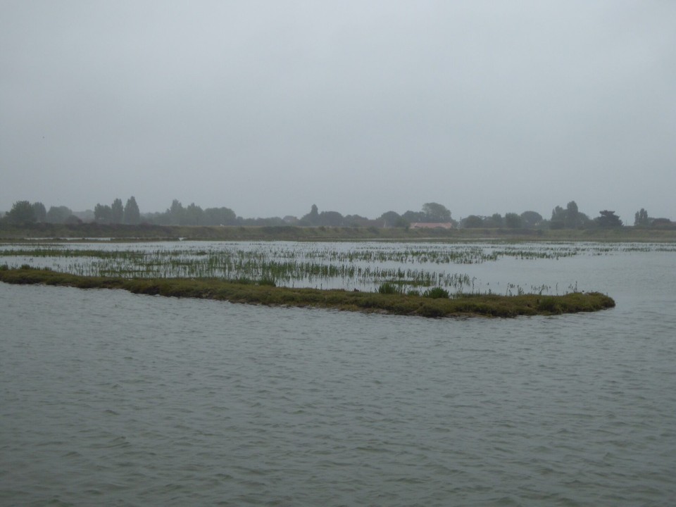 United Kingdom - Chelmsford - 