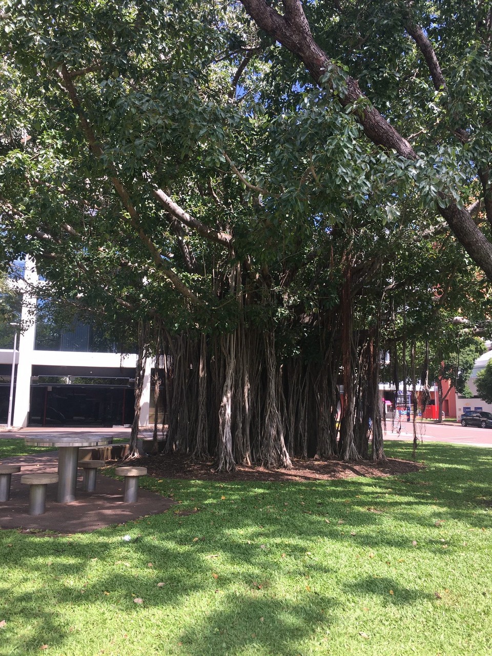 Australien - Litchfield Park - 