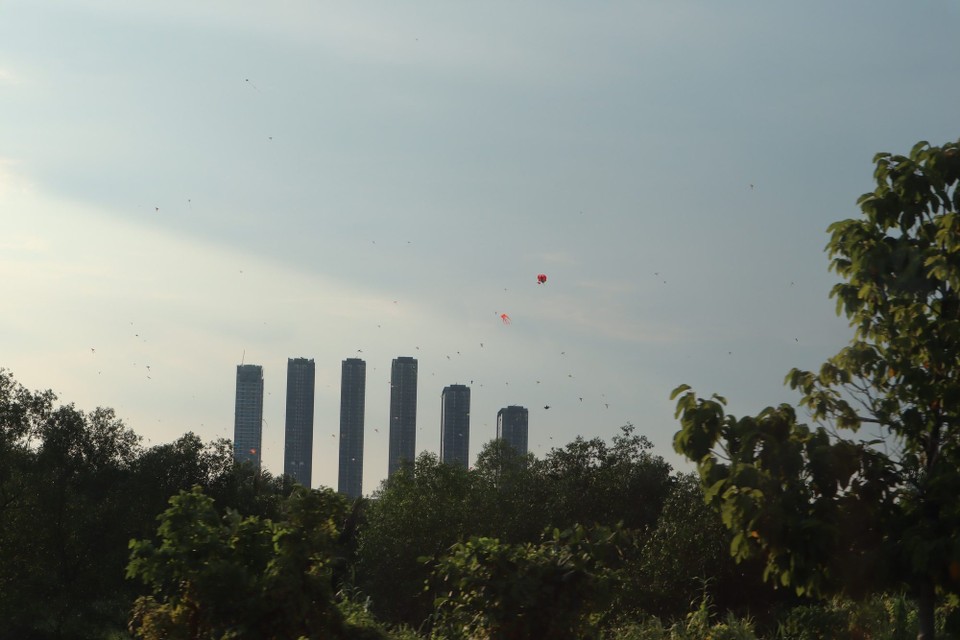 Vietnam - Phu My - 
