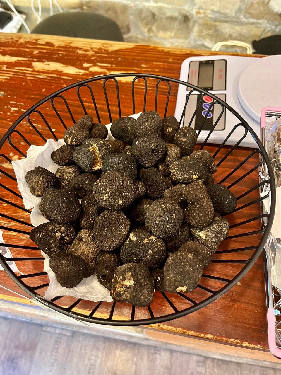 Kroatien - Motovun - 