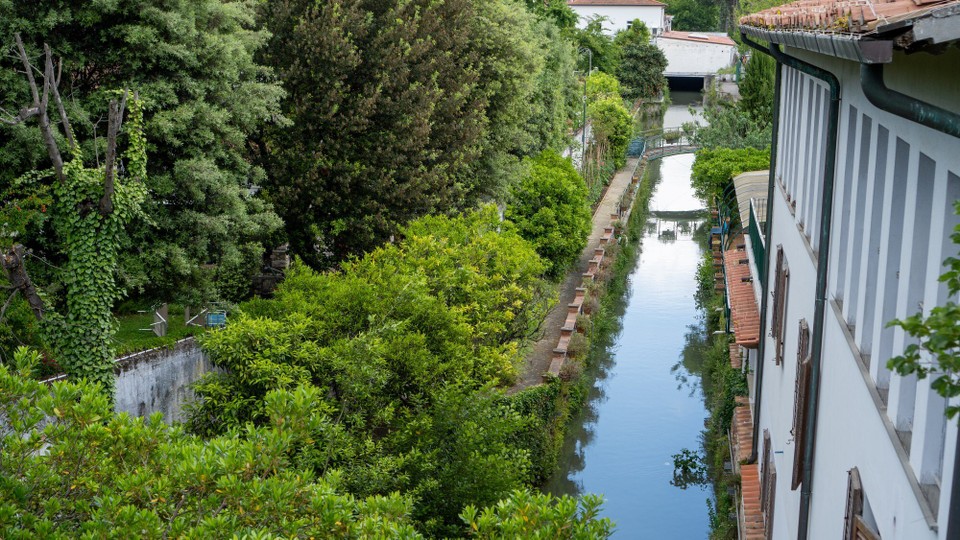 Italien - Pisa - Blick von der Mauer