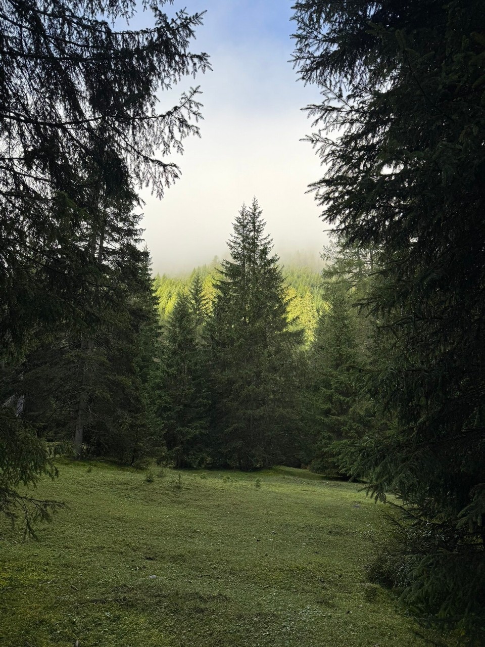 Österreich - Obernberg am Brenner - 