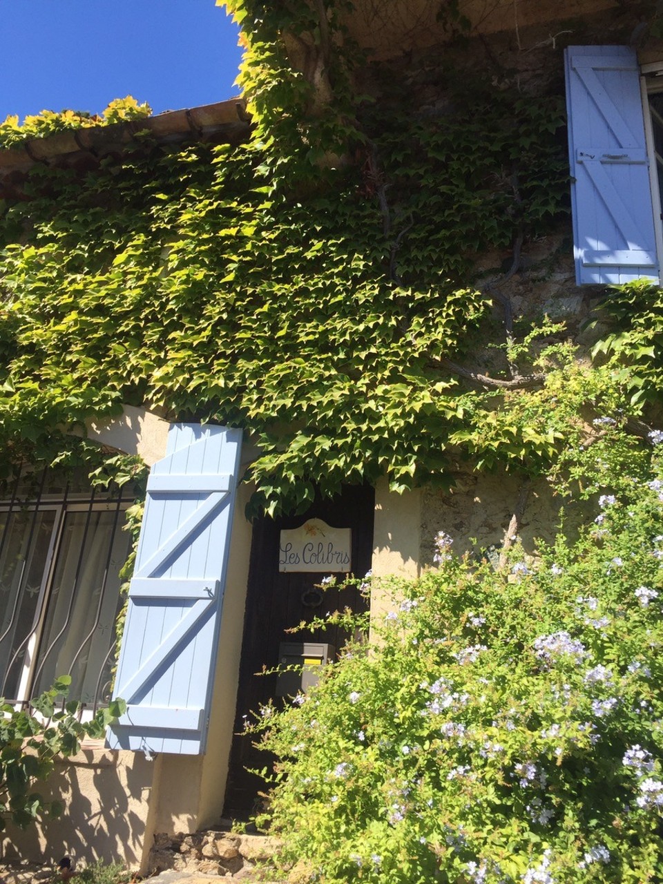  - Frankreich, Grimaud, Das Dorf auf dem Berg - 