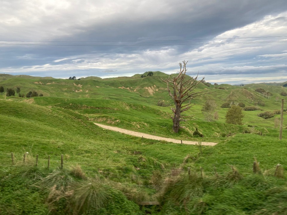 Neuseeland - Rotorua - Bei der Landschaft hat sich die Busfahrt definitiv schon gelohnt! 🤓
