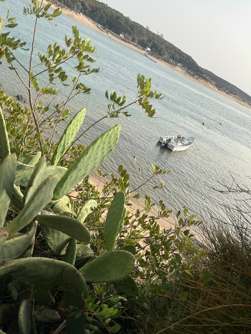 Portugal - Vila Nova de Milfontes - 